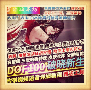 DOF单机版100破界新生女圣职奶骑魔枪女鬼剑枪剑士三觉被动护石团本